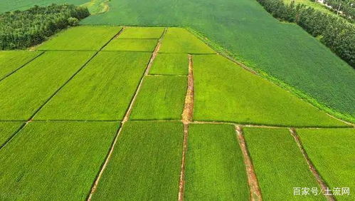 非农化 突出,农民参与 土地修复 可获1.2万 亩奖励